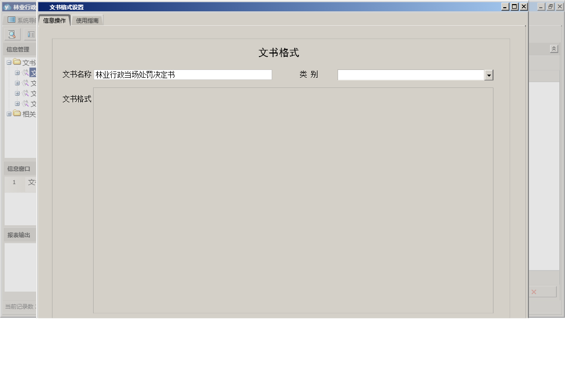 文书格式设置信息窗口