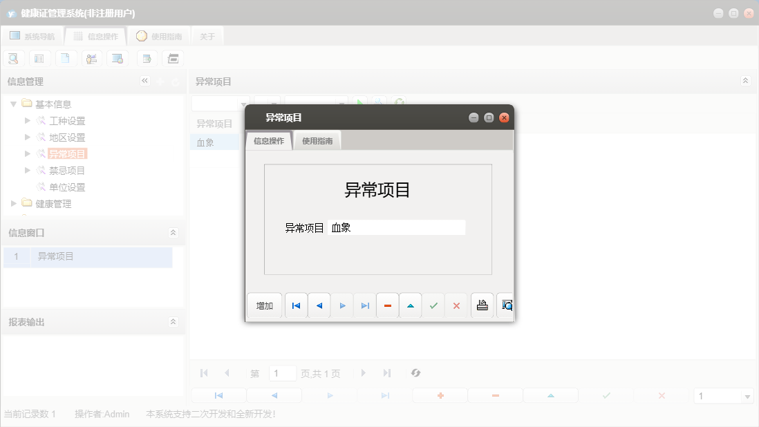 异常项目信息窗口