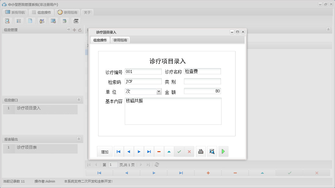 诊疗项目录入信息窗口