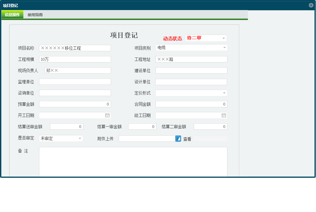 项目登记信息窗口