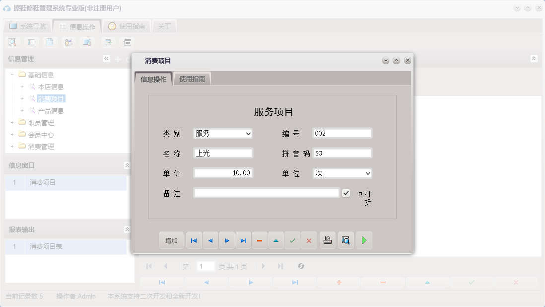 消费项目信息窗口